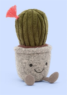 <ul><li>The perfect smiling desk buddy to make sure that work doesn&rsquo;t totally succ! </li><li>The Silly Succulent Cactus by Jellycat is the ideal low maintenance plant and a fun gift for any cacti lover. </li><li>With a grey felt pot, cordy green plant and a jazzy, pink tassle flower, this succulent is squidgy not spiky making it perfectly safe for cuddles! </li><li>Dimensions: 19cm high, 6cm wide </li></ul>